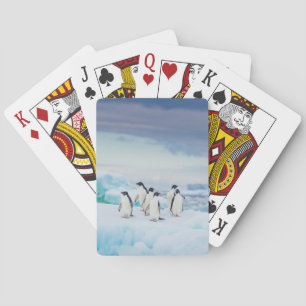 Ice & Snow   Adelie Penguins Antarctica Playing Cards