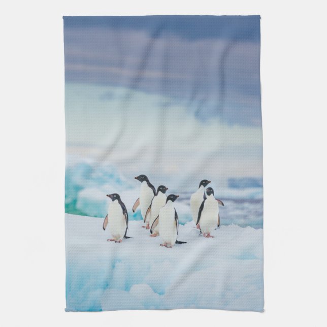 Ice & Snow | Adelie Penguins Antarctica Tea Towel (Vertical)