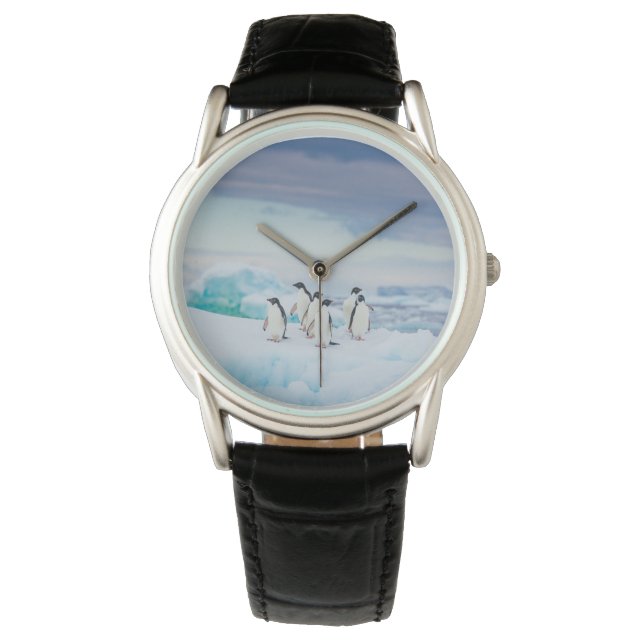 Ice & Snow | Adelie Penguins Antarctica Watch (Front)