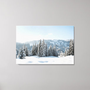 Ice & Snow Allgäu Bavaria Germany Canvas Print