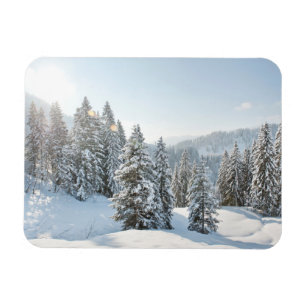 Ice & Snow Allgäu Bavaria Southern Germany Magnet