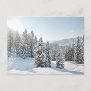 Ice & Snow   Allgäu Bavaria Southern Germany Postcard