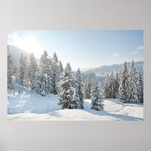 Ice & Snow   Allgäu Bavaria Southern Germany Poster