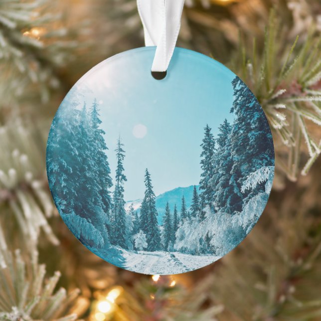 Ice & Snow | Altai Nature Reserve, Russia Ornament (Tree)