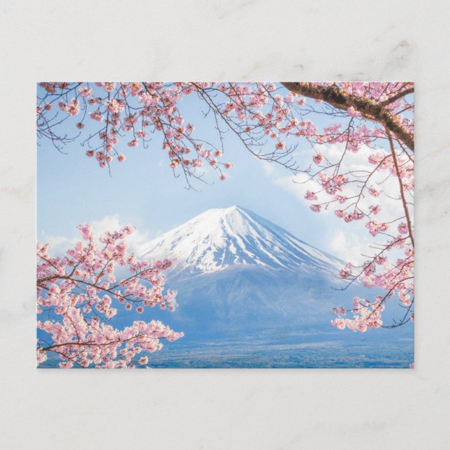 Ice & Snow | Cherry Blossoms Mt. Fuji Japan Postcard (Front)