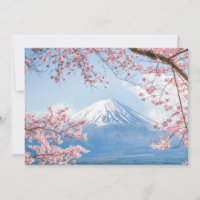 Ice & Snow | Cherry Blossoms Mt. Fuji Japan