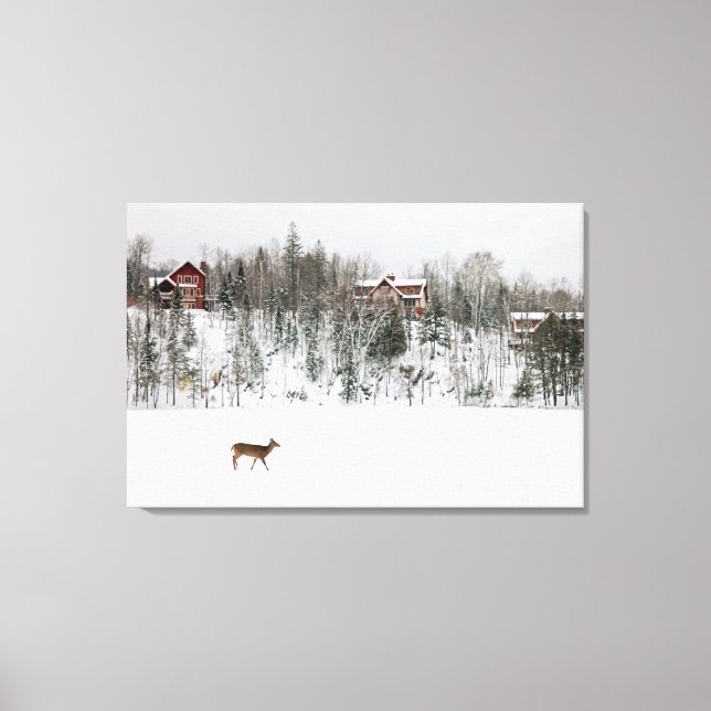 Ice & Snow | Deer in Snow Quebec, Canada Canvas Print (Front)
