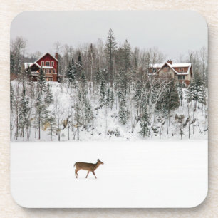 Ice & Snow Deer in Snow Quebec, Canada Coaster