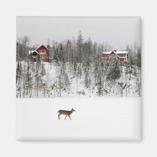Ice & Snow Deer in Snow Quebec, Canada Magnet