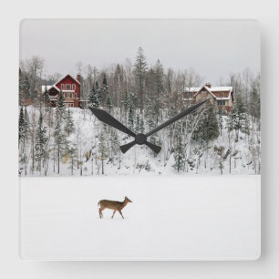 Ice & Snow   Deer in Snow Quebec, Canada Square Wall Clock