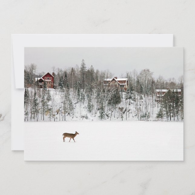 Ice & Snow | Deer in Snow Quebec, Canada Thank You Card (Front)