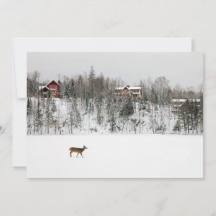 Ice & Snow   Deer in Snow Quebec, Canada Thank You Card