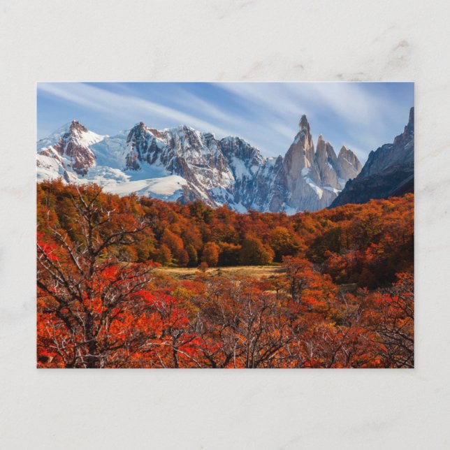 Ice & Snow | El Chalten, Argentina Patagonia Postcard (Front)