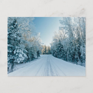 Ice & Snow   Frozen Winter Road Russia, Siberia Postcard
