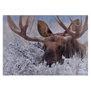 Ice & Snow Grand Teton National Park, Wyoming Cutting Board