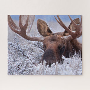 Ice & Snow Grand Teton National Park, Wyoming Jigsaw Puzzle