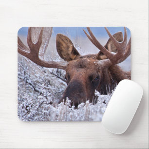 Ice & Snow   Grand Teton National Park, Wyoming Mouse Mat
