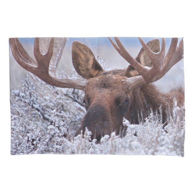 Ice & Snow | Grand Teton National Park, Wyoming Pillowcase (Front)