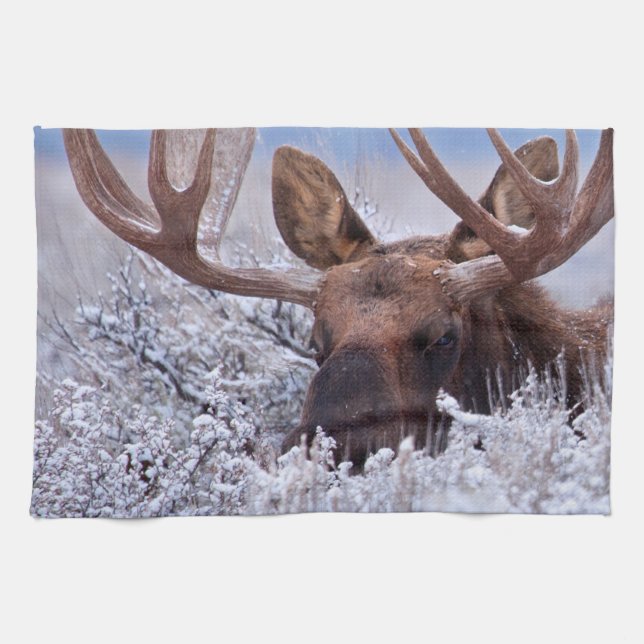 Ice & Snow | Grand Teton National Park, Wyoming Tea Towel (Horizontal)