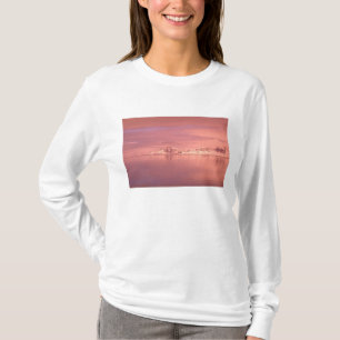Ice, Snow, Icebergs in the channels along the T-Shirt