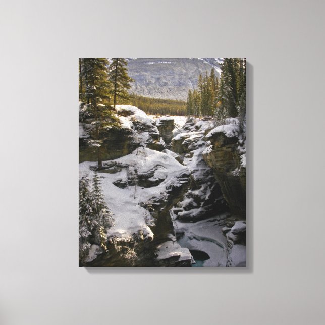 Ice & Snow | Jasper National Park Alberta, Canada Canvas Print (Front)