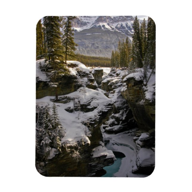 Ice & Snow | Jasper National Park Alberta, Canada Magnet (Vertical)