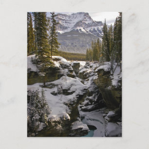 Ice & Snow Jasper National Park Alberta, Canada Postcard