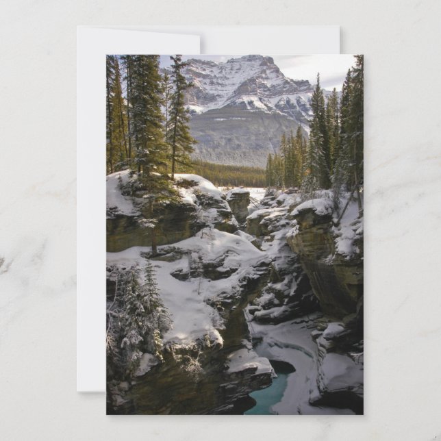 Ice & Snow | Jasper National Park Alberta, Canada Thank You Card (Front)
