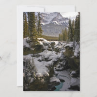 Ice & Snow | Jasper National Park Alberta, Canada