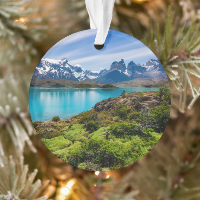 Ice & Snow | Lake Pehoe, Patagonia, Chile Ornament (Tree)