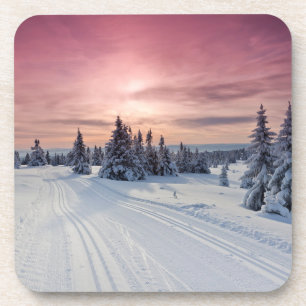 Ice & Snow Lillehammer, Norway Coaster