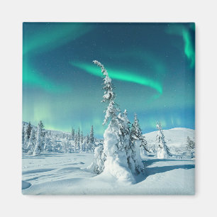 Ice & Snow Northern Lights, Lapland, Finland Magnet