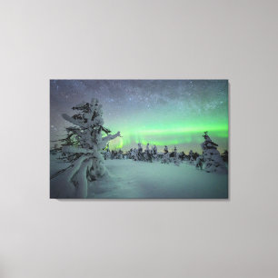 Ice & Snow Pallas-Yllastunturi National Park Canvas Print