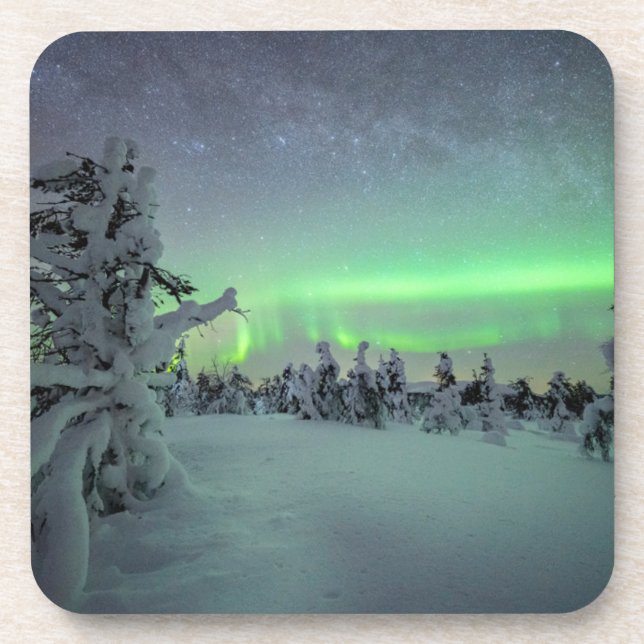 Ice & Snow | Pallas-Yllastunturi National Park Coaster (Front)