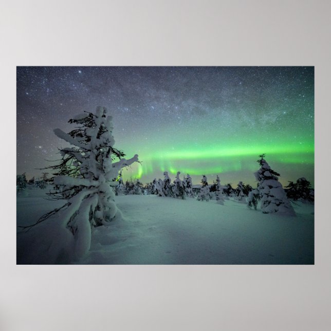 Ice & Snow | Pallas-Yllastunturi National Park Poster (Front)