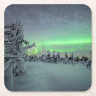 Ice & Snow Pallas-Yllastunturi National Park Square Paper Coaster