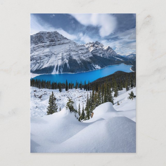 Ice & Snow | Peyto Lake, Canadian Rockies Postcard (Front)