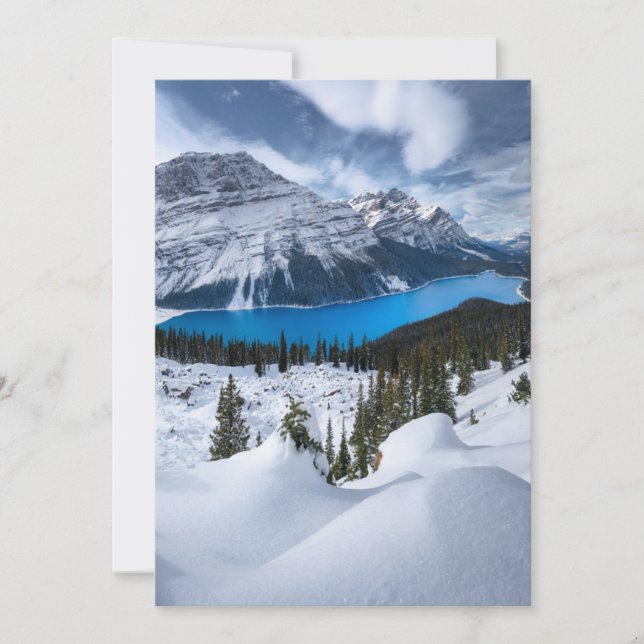 Ice & Snow | Peyto Lake, Canadian Rockies Thank You Card (Front)
