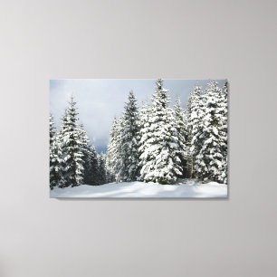 Ice & Snow Pine Woodland, Austria Canvas Print