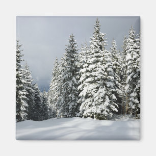 Ice & Snow Pine Woodland, Austria Magnet