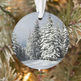 Ice & Snow Pine Woodland, Austria Ornament