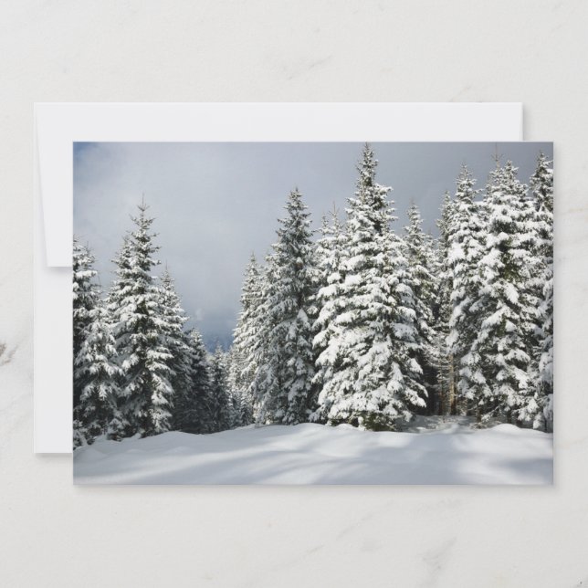 Ice & Snow | Pine Woodland, Austria Thank You Card (Front)