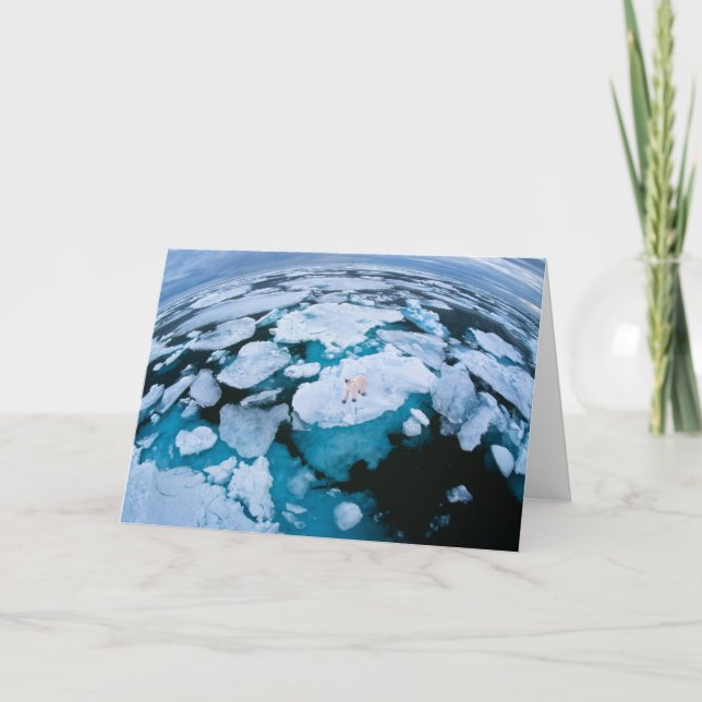 Ice & Snow | Polar Bear, Arctic Ocean, Svalbard Card (Front)