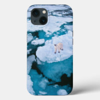 Ice & Snow | Polar Bear, Arctic Ocean, Svalbard