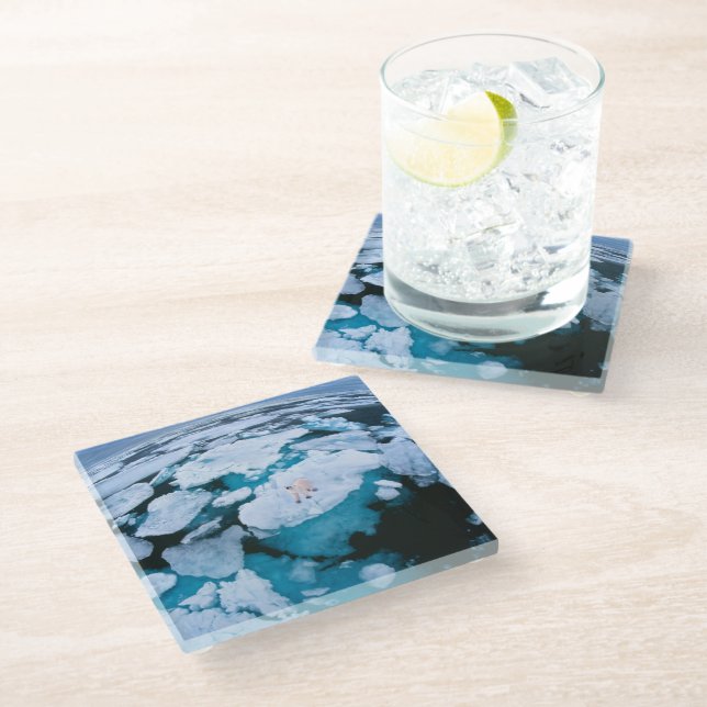 Ice & Snow | Polar Bear, Arctic Ocean, Svalbard Glass Coaster (Angled)