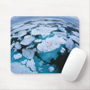 Ice & Snow   Polar Bear, Arctic Ocean, Svalbard Mouse Mat