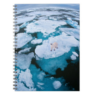 Ice & Snow   Polar Bear, Arctic Ocean, Svalbard Notebook