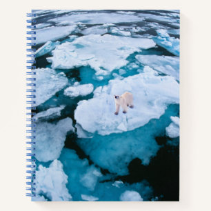 Ice & Snow   Polar Bear, Arctic Ocean, Svalbard Notebook