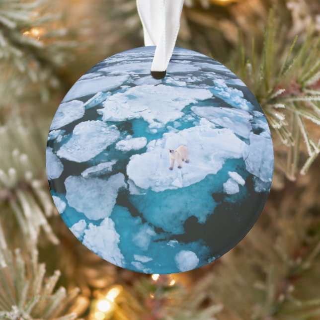 Ice & Snow | Polar Bear, Arctic Ocean, Svalbard Ornament (Tree)