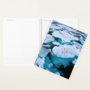 Ice & Snow Polar Bear, Arctic Ocean, Svalbard Planner